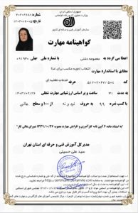 مدرک فنی حرفه ای